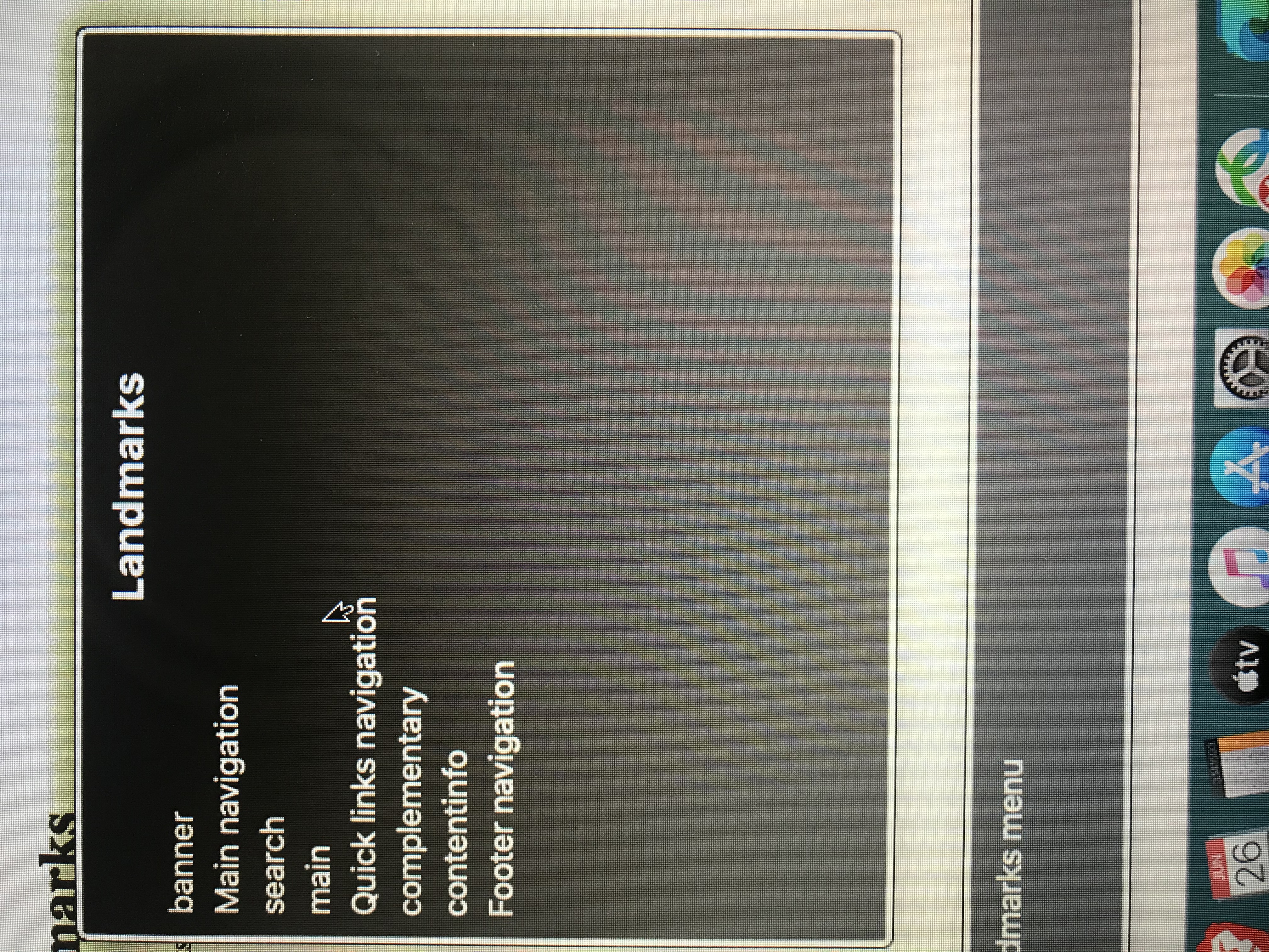 VoiceOver rotor landmarks